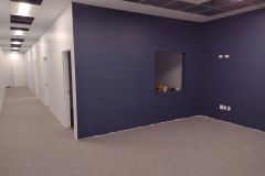 Commercial Painting: Office Space